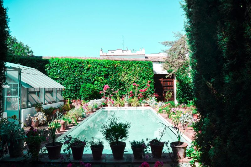 Billet Visite guidée du Palais de Viana et de ses cours intérieures