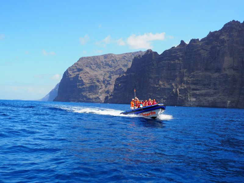 Billet Excursion en bateau en petit groupe le long des falaises de Los Gigantes jusqu'à Punta Teno