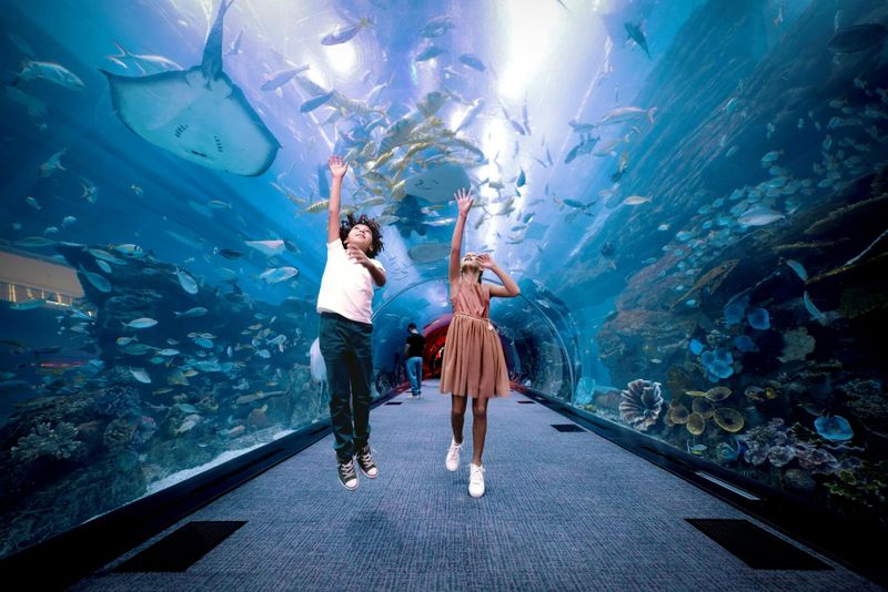 Billet Billets pour les étages 124 et 125 du Burj Khalifa et l'aquarium de Dubaï