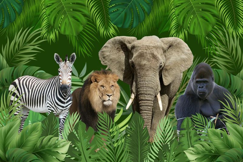 Billet Billet d'entrée au zoo de Varsovie