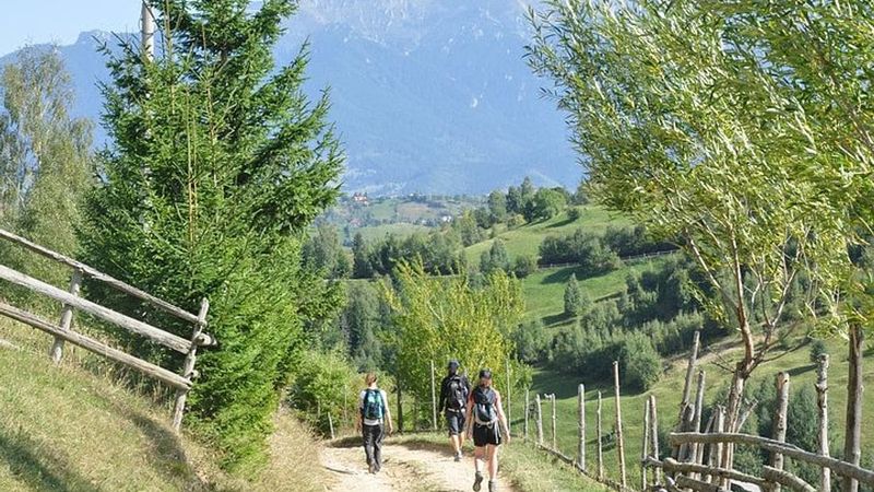 Billet Randonnée privée dans le parc national de Piatra Craiului au départ de Brasov