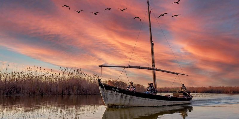 Billet Parc naturel de l'Albufera avec excursion en bateau au coucher du soleil au départ de Valence