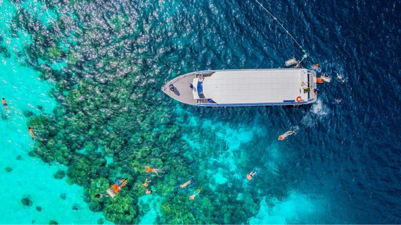Billet Chef-d'œuvre de plongée en apnée à 3 récifs des îles Surin au départ de Khao Lak
