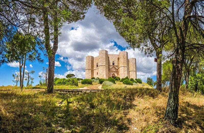 Billet Visite privée d'une demi-journée à Castel del Monte au départ de Bari
