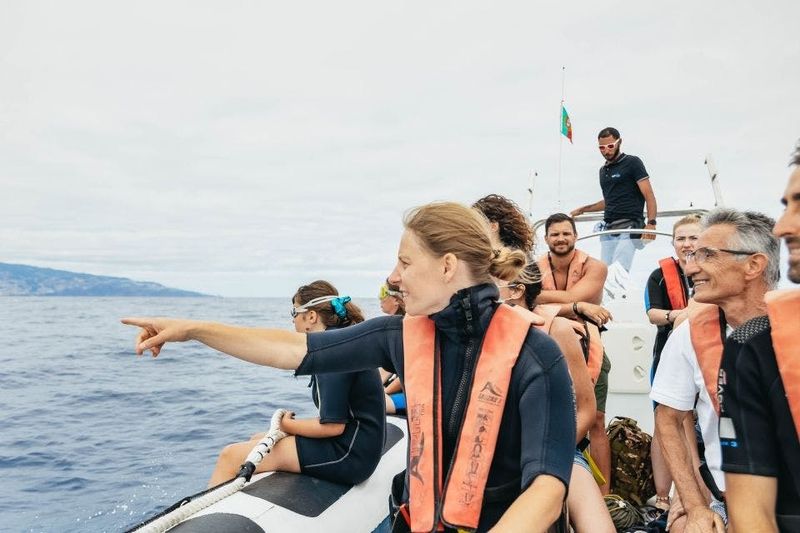 Billet Expérience baleines et dauphins à Madère