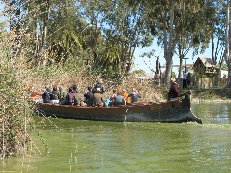 Billet Valence : visite du parc naturel de l'Albufera avec promenade en bateau et bus panoramique