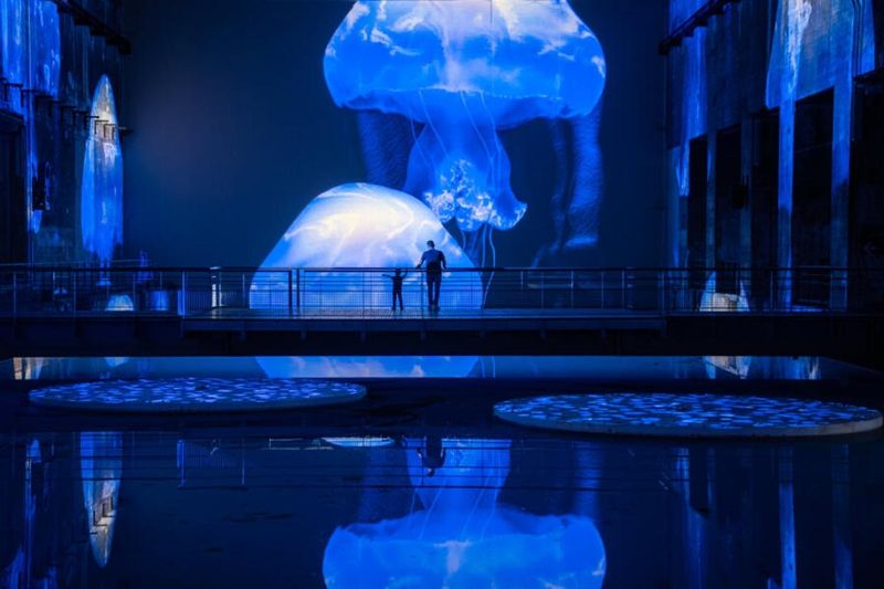 Billet Billet d'entrée pour le centre d'art Les Bassins des Lumières à Bordeaux