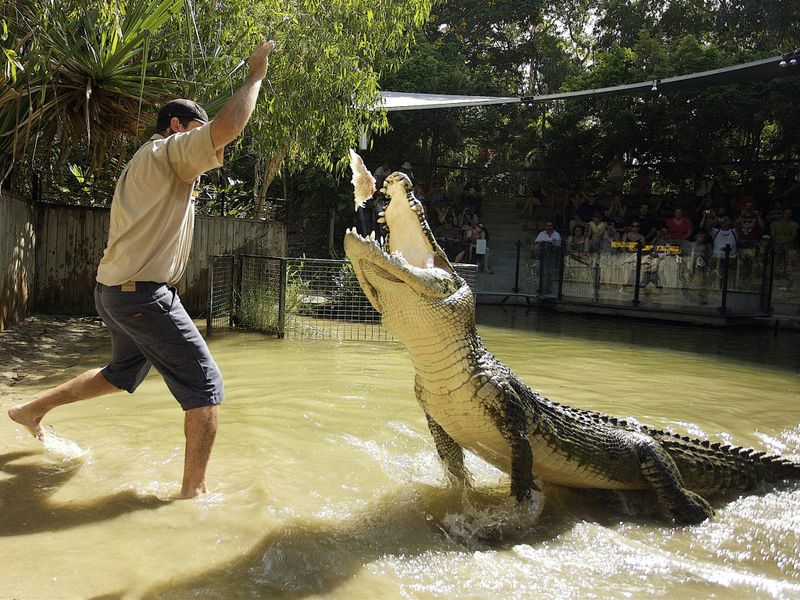 Billet Hartley's Crocodile Adventures depuis Cairns