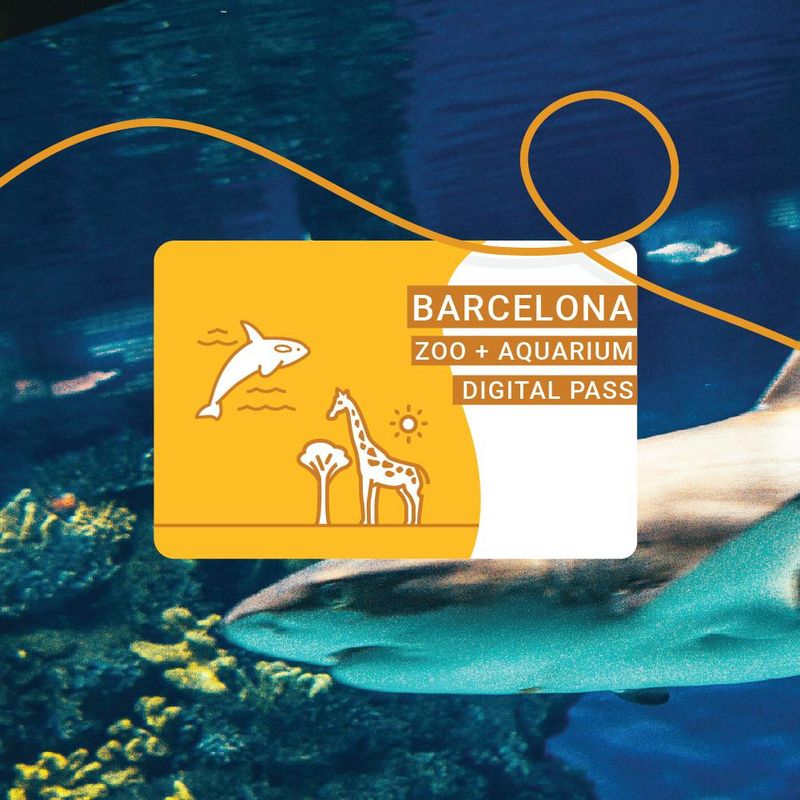 Billet Pass Zoo + Aquarium de Barcelone