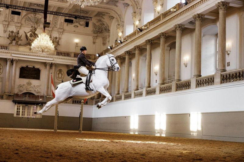 Billet Le Lipizzan se produit à l'école d'équitation espagnole