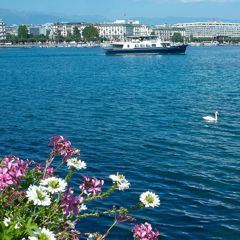 Billet Visite de Genève en bateau
