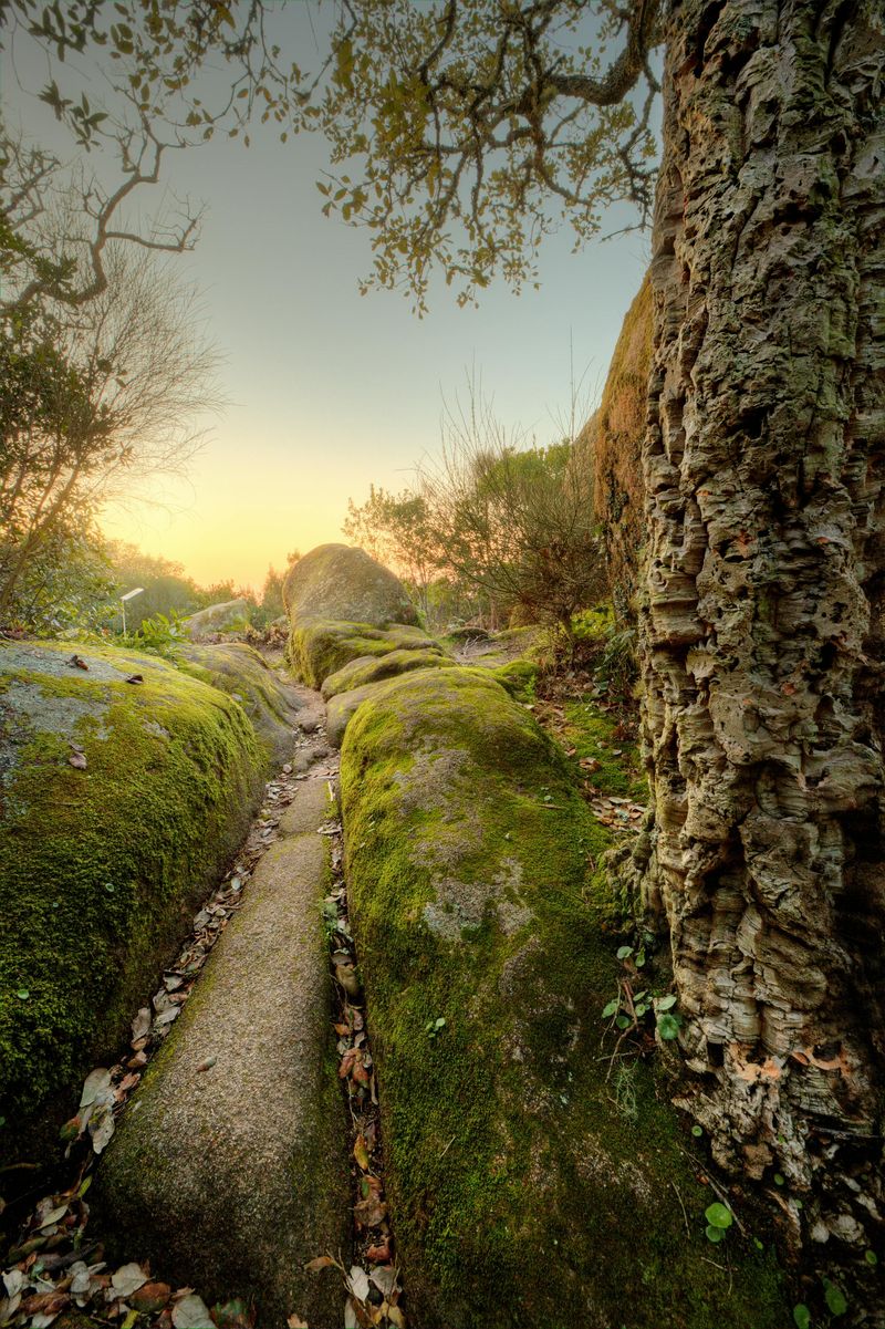 Billet Couvent des Capucins: Billet d'entrée