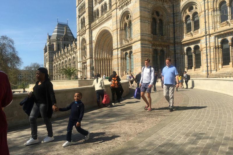 Billet Musée d'histoire naturelle : Visite guidée