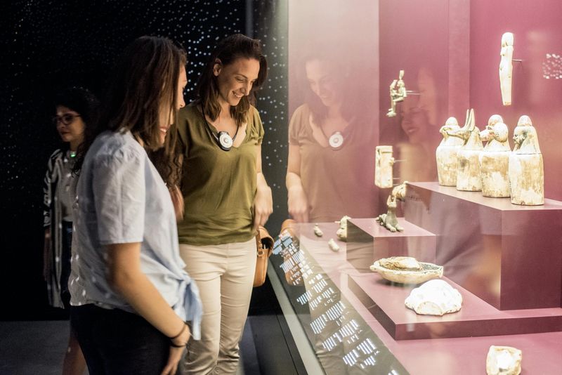 Billet Musée des Confluences: Billet d'entrée