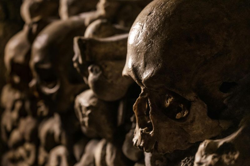 Billet Catacombes de Paris : Billet d'entrée + Audioguide
