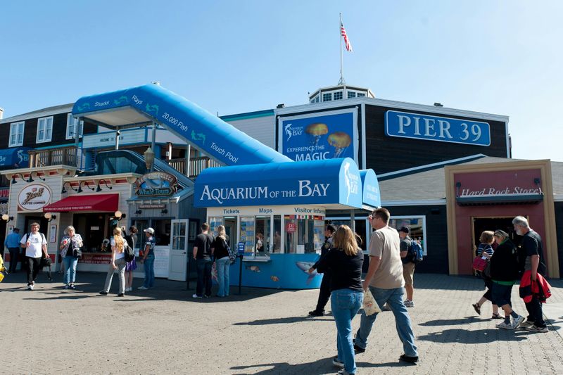 Billet Aquarium of the Bay : Billet d'entrée