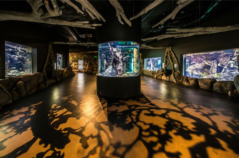 Billet L'aquarium de Cairns au crépuscule