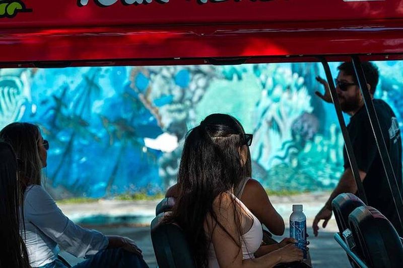 Billet Wynwood Walls Admission et expérience de quartier en buggy