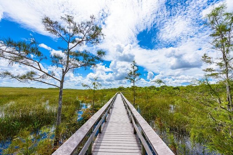 Billet Parc national des Everglades : Visite audio en voiture autonome