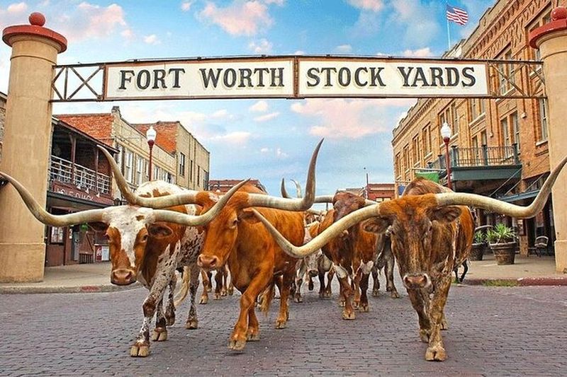 Billet Visite combinée des points forts de Fort Worth et du ranch Southfork