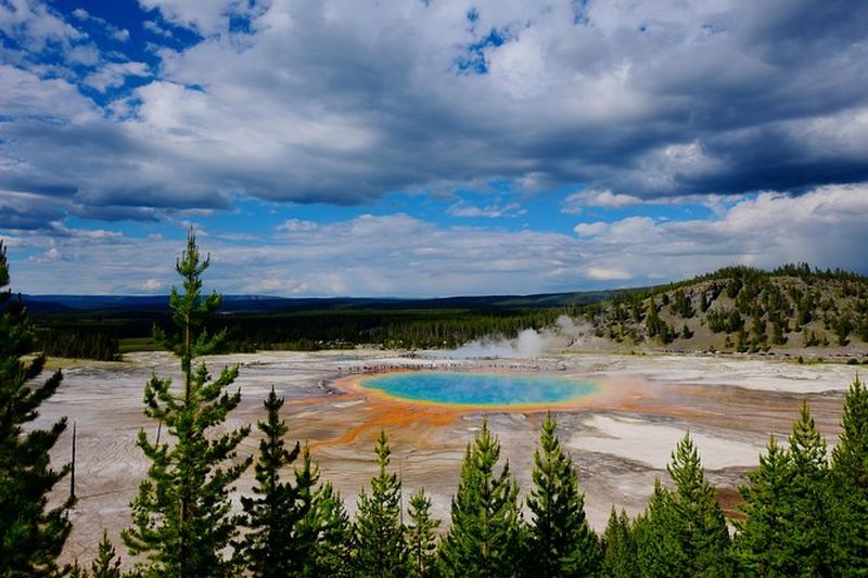 Billet Visite privée de Yellowstone : sites emblématiques, faune, randonnées familiales + déjeuner
