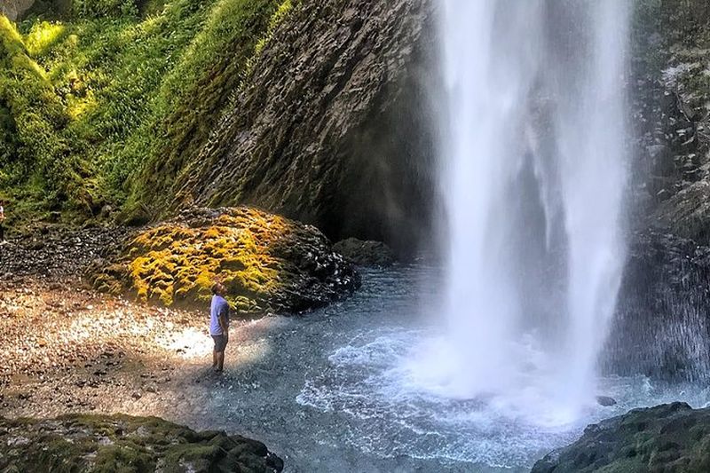 Billet Excursion d'une demi-journée à Multnomah Falls et Columbia River Gorge