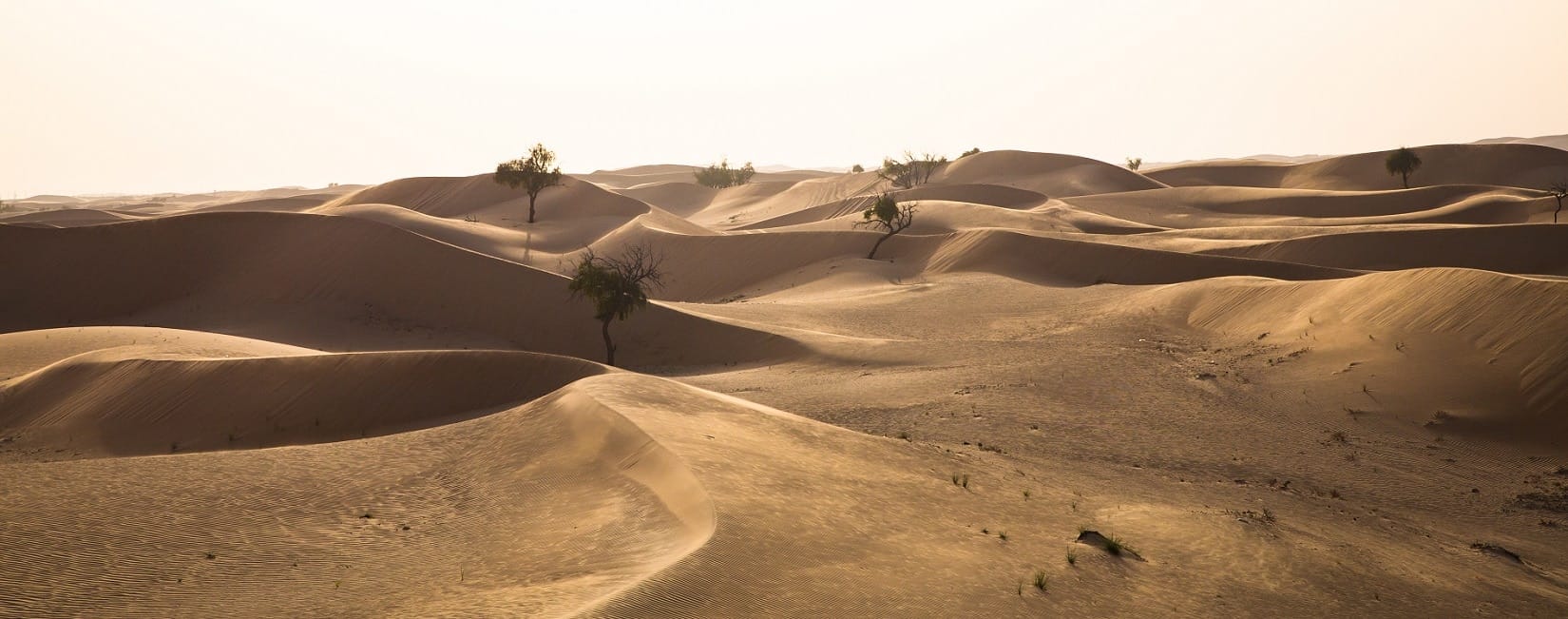 Émirats arabes unis - Attraction la plus populaire