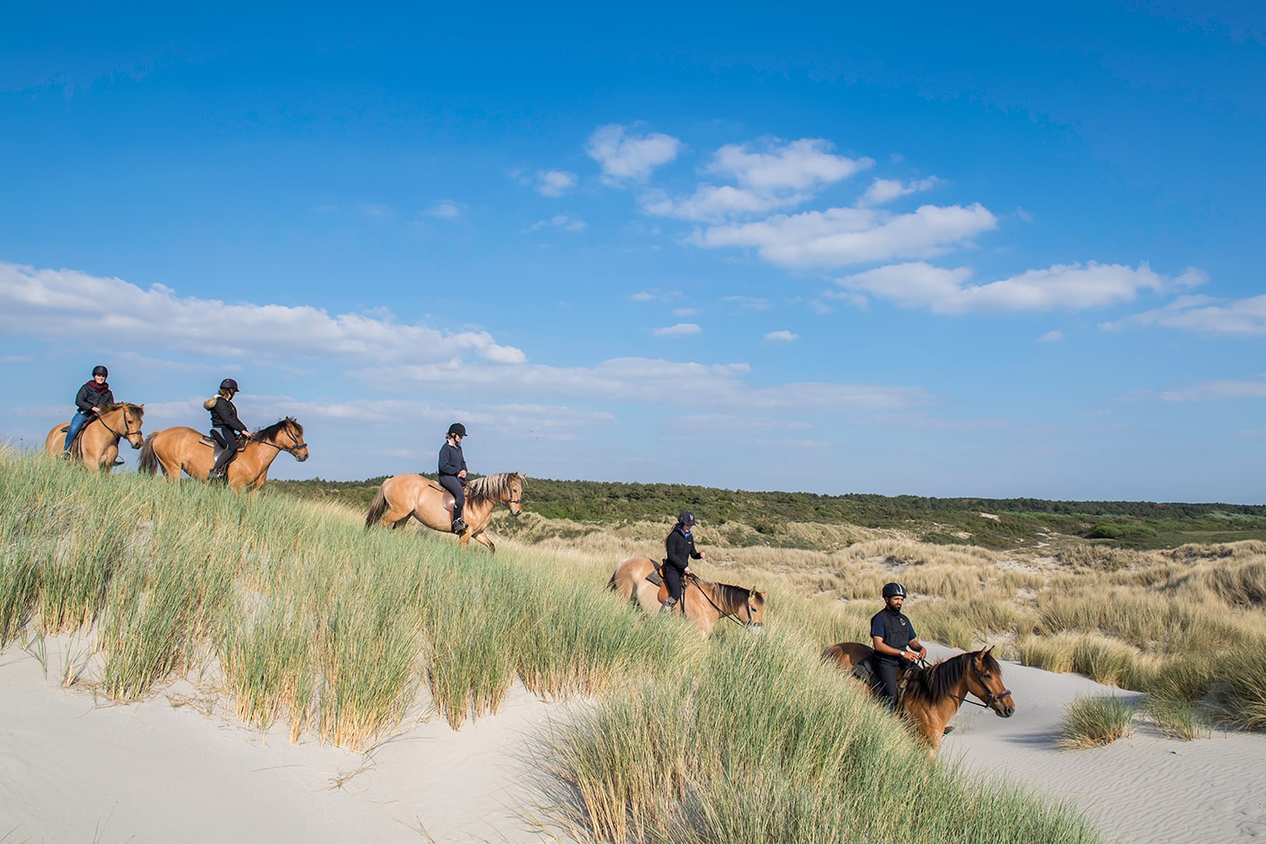 Hauts-de-France : les meilleures activités à faire dans la région