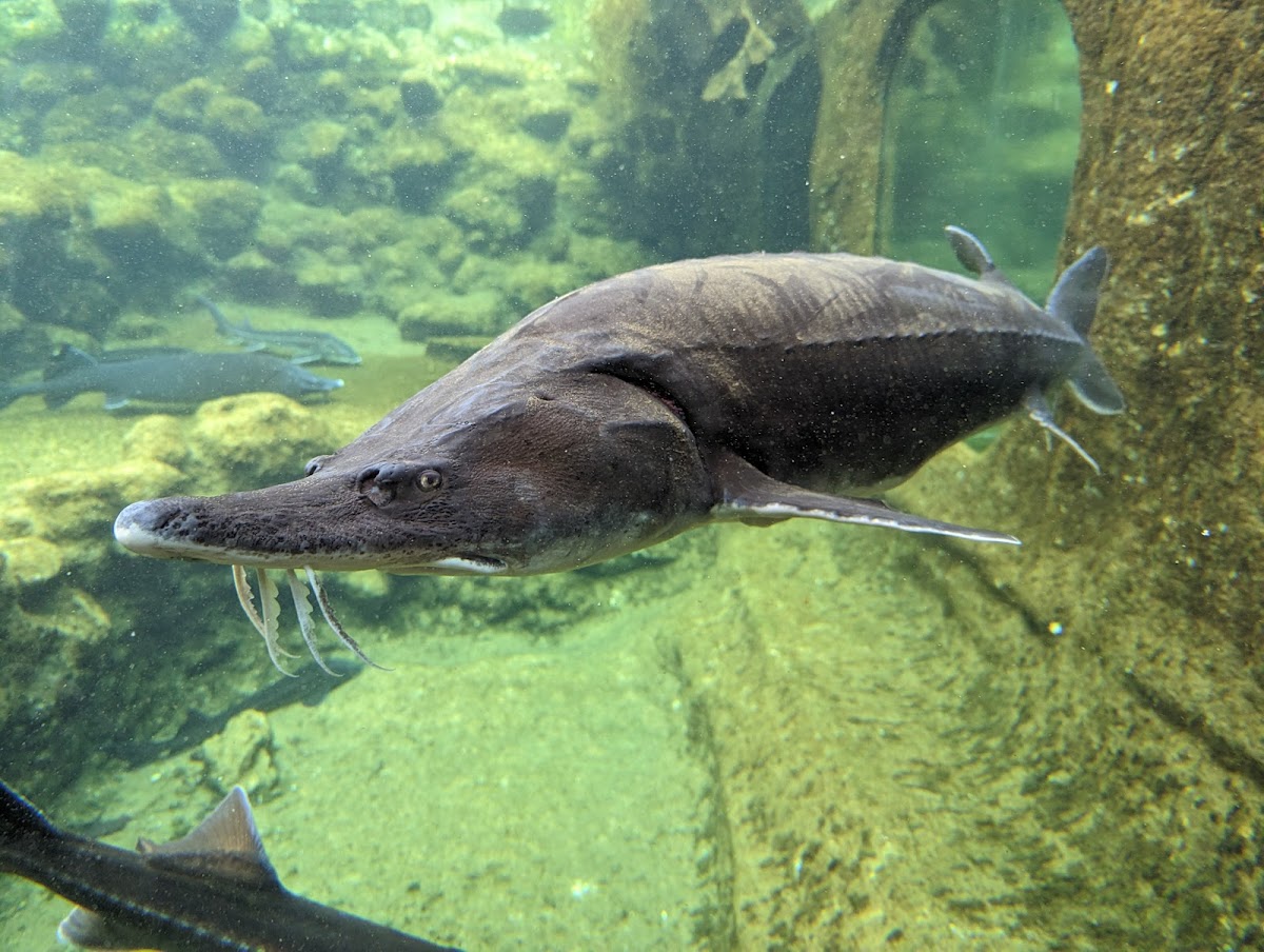 Aquarium du Périgord Noir