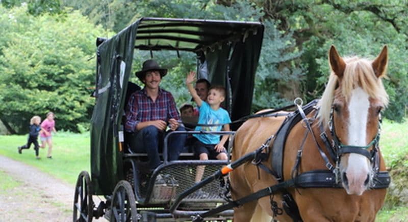 Balade en calèche au marché près de Guingamp