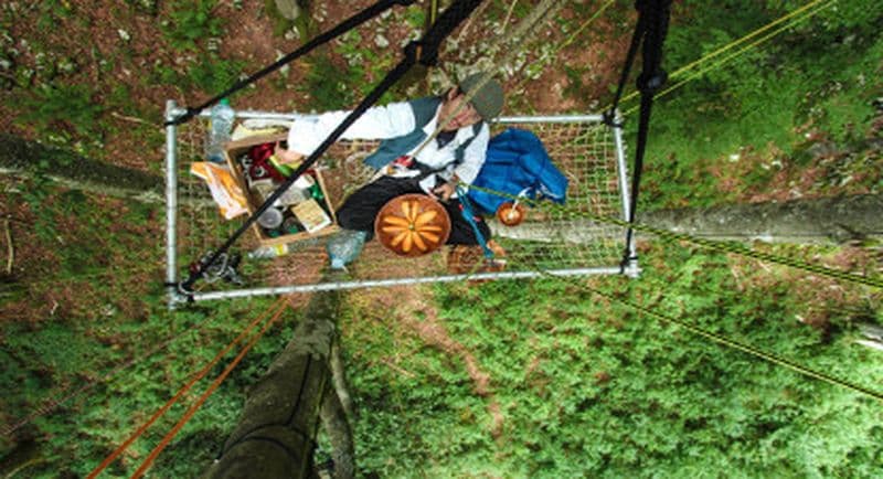 Billet Grimpe d'Arbres avec goûter ou apéro prés de Thonon-les-Bains