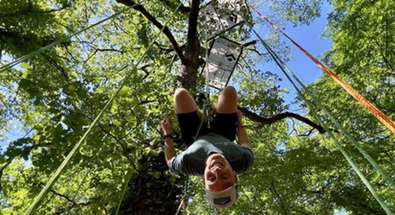 Escalade d'arbres et sauts à sensation près d'Orléans