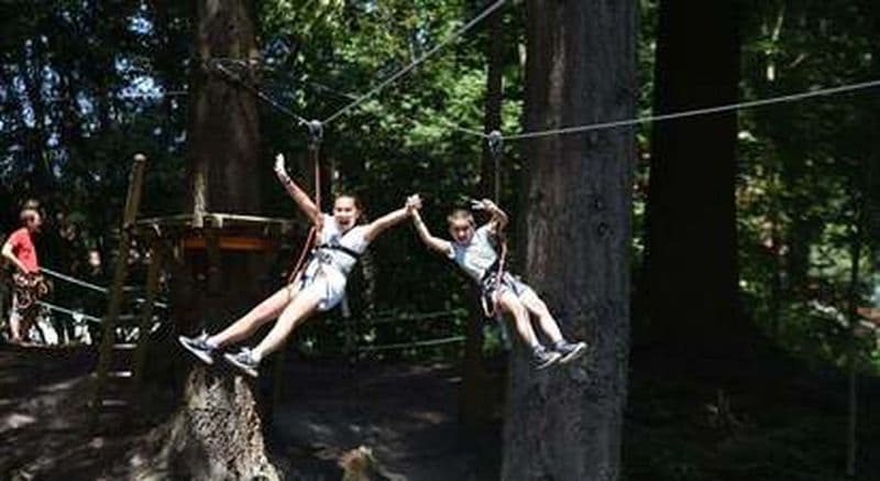 Parcours d'accrobranche à Echassières dans l'Allier