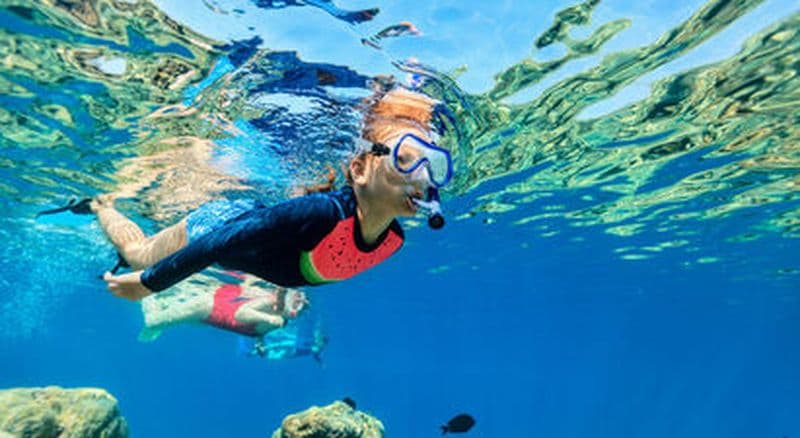Snorkeling près de Collioure