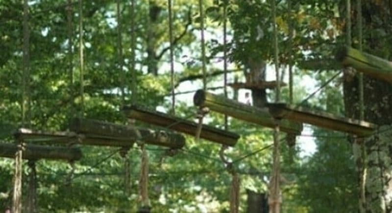 Accrobranche à Thuré