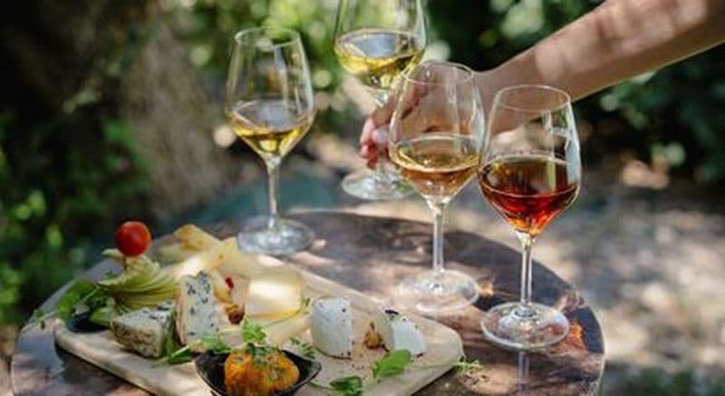 Atelier Vin et Fromage au chateau Saint Pierre de Serjac à Puissalicon