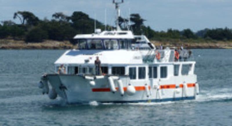 Balade en bateau dans le golfe du Morbihan depuis Port-Navalo