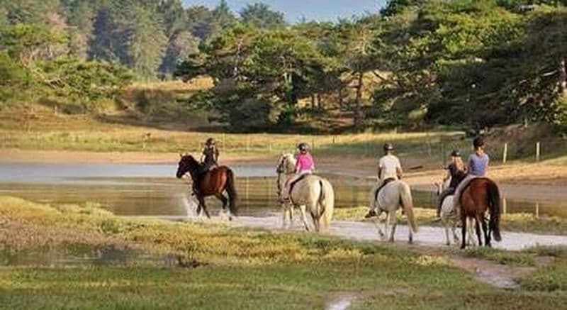 Journée randonnée à Cheval près d'Erquy
