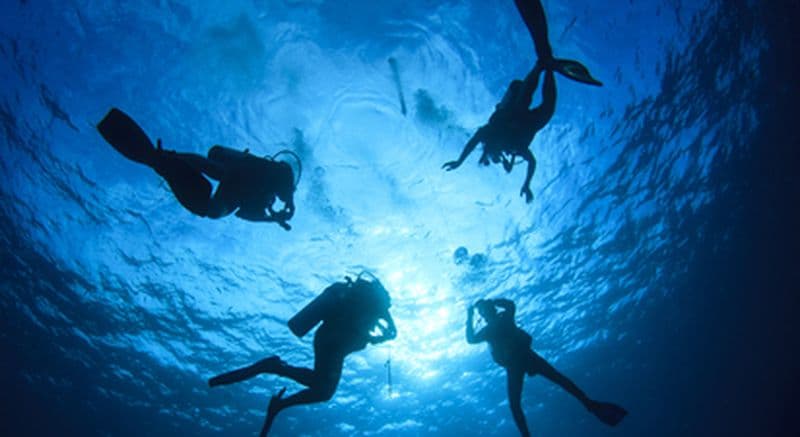 Baptême de plongée avec initiation à Dour