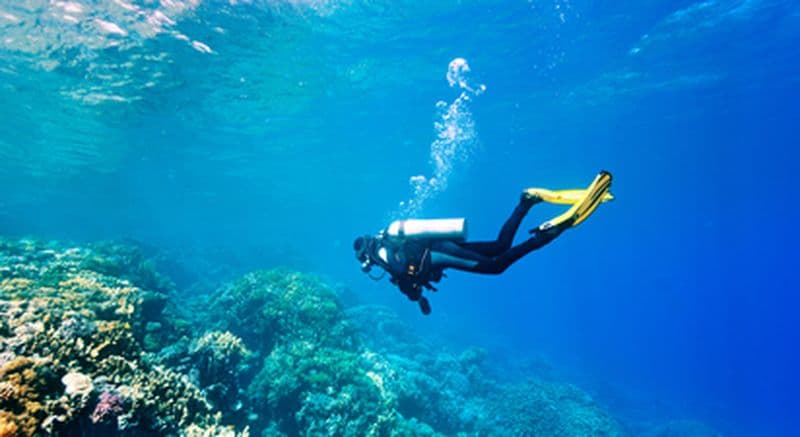 Initiation à la plongée près de Collioure