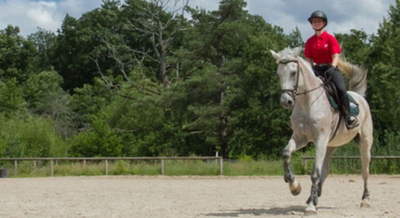 Cours particulier d'équitation à Maisons-Laffitte