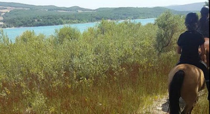 Randonnée à Cheval à Manosque
