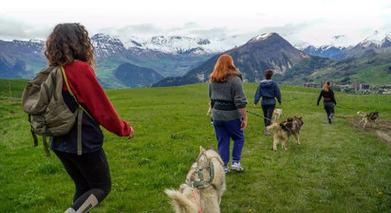 Cani-rando en Savoie près de Saint-Jean-de-Maurienne