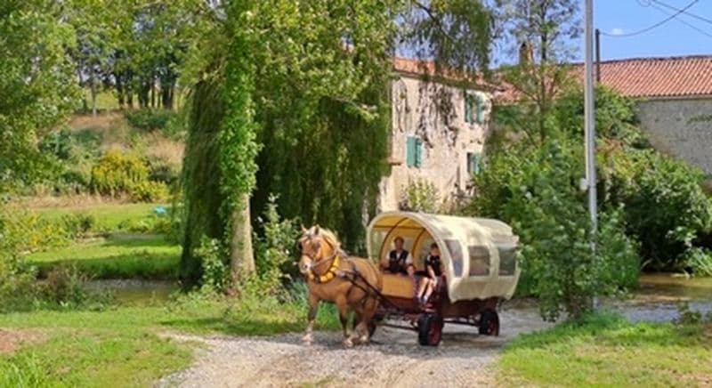Balade en calèche à Sainte-Hermine près de La Roche-sur-Yon