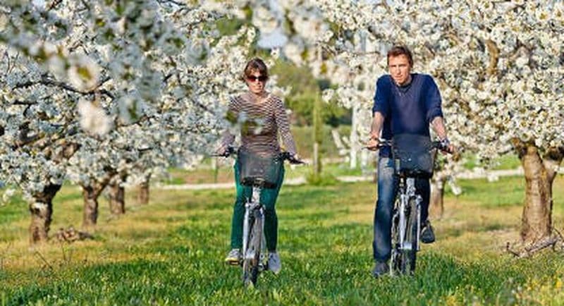 Location de Vélo Electrique à St-Rémy-de-Provence