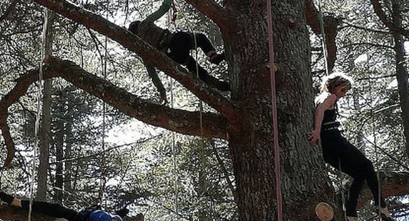 Billet Grimpe d'Arbres près de Thonon-les-Bains