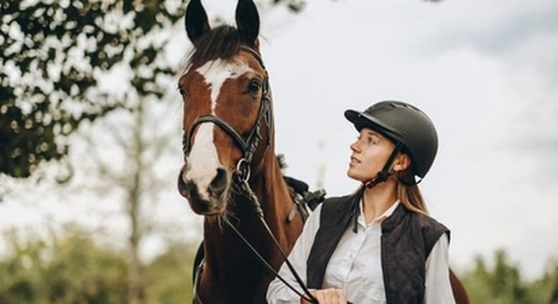 Cours d'équitation à Manosque