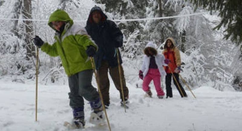 Randonnée Raquettes à Morzine