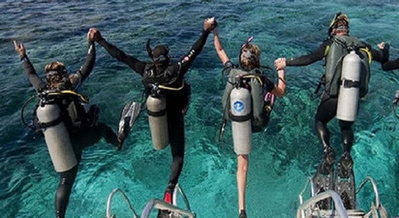Plongée sous-marine au cœur du bassin d'Arcachon