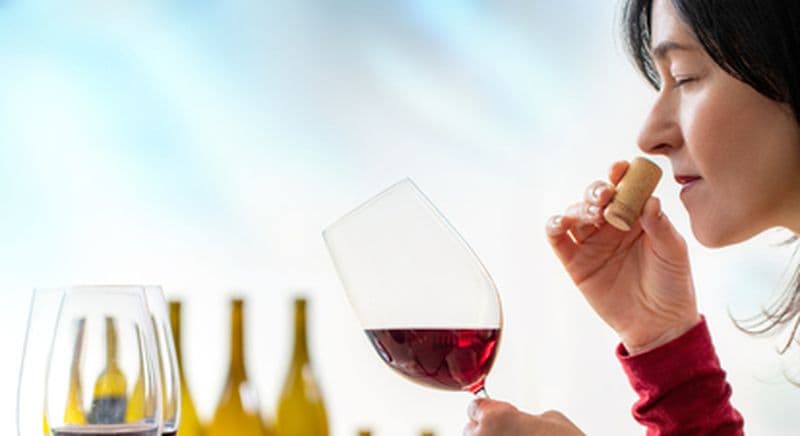 Cours d'œnologie à Grenoble